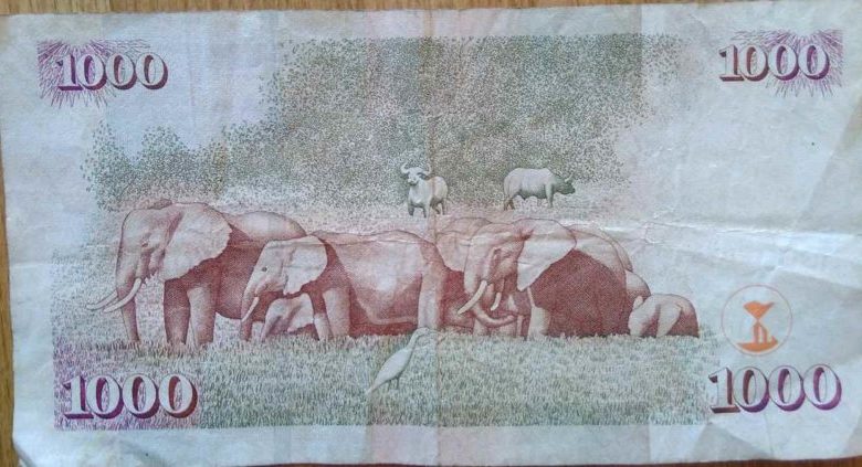 1000 Kenyan Shillings note with elephants