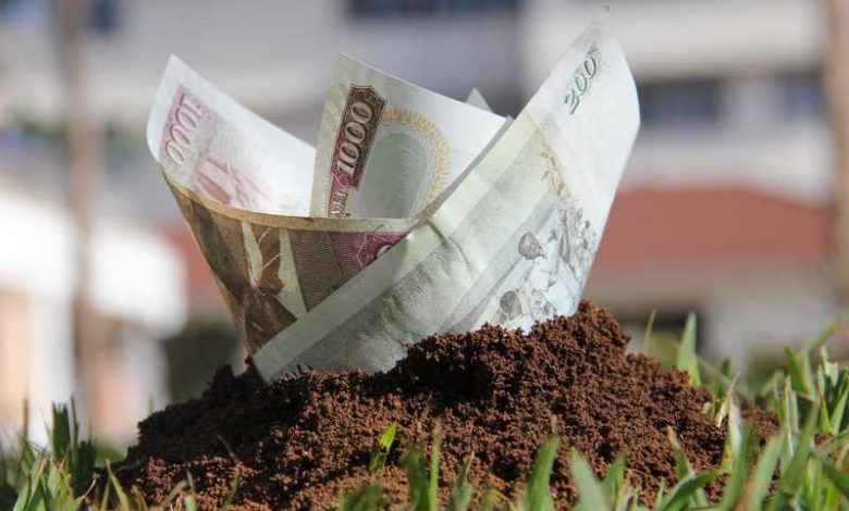 photo: RoGGKenya - shilling bills rising from a termite hole.